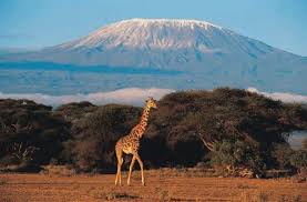 Kilimanjaro climbing trips and Safaris, компанія