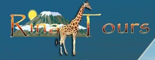 Rina-Tours, travel company