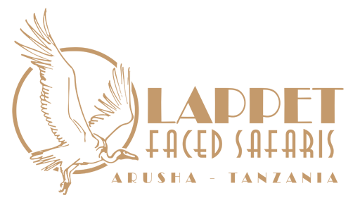 Lappet faced safaris, туристическая компания